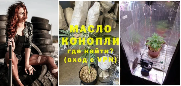 крисы Аркадак