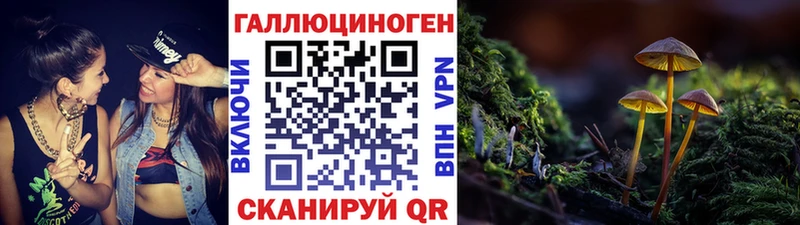 Галлюциногенные грибы прущие грибы  Слюдянка 