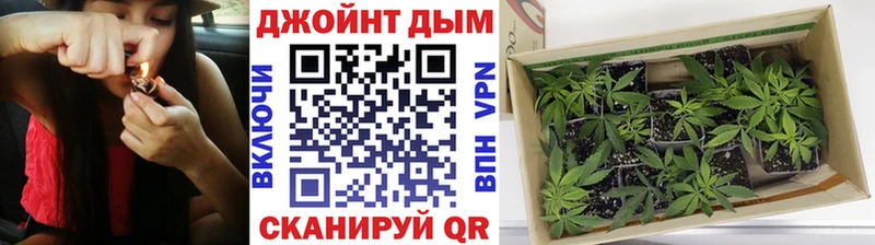 где купить   Слюдянка  Конопля VHQ 
